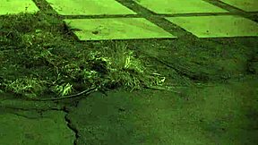 Girl in bondage reaches orgasm