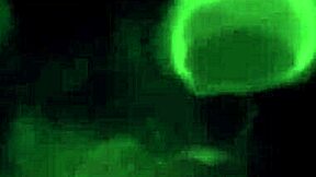 Watch eyla moore as ahri spirit blossom get huge monster cock satisfaction!