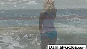 hot dahlia sky enjoys solo masturbation in this compilation