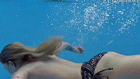 mimi cica underwater?