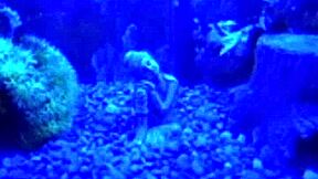 my favorite pickup line is im still a virgin part 2 of the virginitynotundertaker