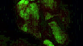 Mature Woman Plays Naughty Games With Teen Cock