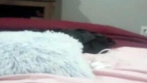 cute teen 18+ masturbates with toys