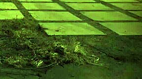 Two Teens With Big Asses Fuck Their Master In Extreme Domination