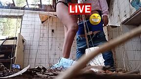 Can my cousin do anything wild with me in the mansion?