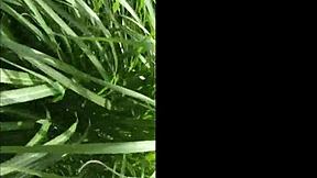 feeling relaxed on a free day in beautiful budapest park