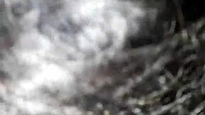 JULIACARIOCA - UPDATE 81 - TREPANDO IGUAL PUTA NO COLCHÃO DA SOGRA TT - DEC 19 2023