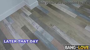 Stepsiblings Pact Logan Xander Laya Rae In Hardcore Cowgirl Riding And Deepthroat Action!!