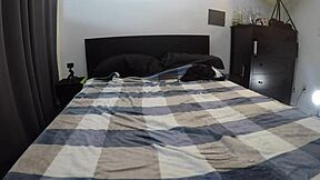 scarlett johnson takes hard anal from daddy in sequel