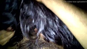 niharika interacts with neighbor in intimate setting