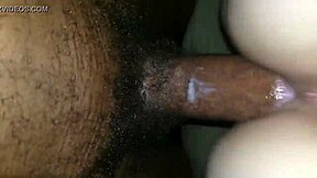 blonde teen gets creampied by black cock