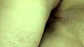 Busty slut Stephanie Wylde rides Johnny Thrust's hard dick after wild striptease