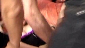 i crave attention while my cat licks my friend lara