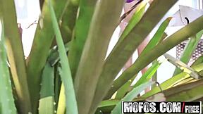 I'm Sophia Leone, a natural hottie with trimmed pussy.