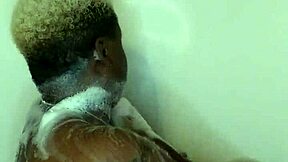 ebony wife enjoys fetish massage in bath with milf