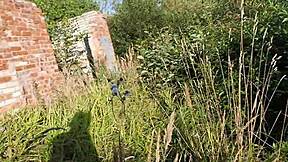 zuf�lliges casting auf der stra�e mit einem juen m�dchen!