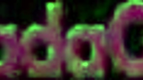 Latina brunette teen 18+ lifts skirt for monster cock in homemade scene.