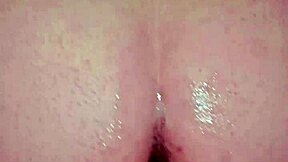 Latina teen gets anal doggystyle in volume three.