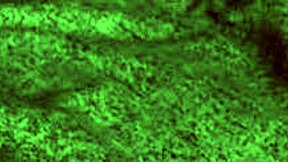 Redhot Fox Rides Cowgirl With Big Tits!