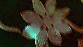 We went on a trip and ended up fucking, didn't we?