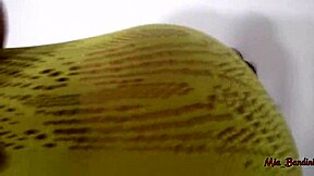 I Am Mia Bandini Bouncing My Perfect Booty Up And Down On The Dick