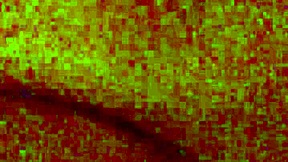 Fuck My Pussy With Your Huge Cock!