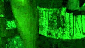 Camping Trip Turns Into Unexpected Encounter