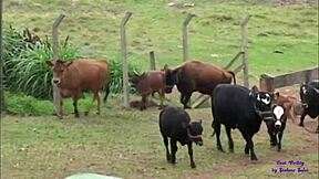 Teen Mora with Big Tits Craves Hard Anal Action Every Time