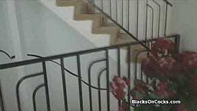 ebony girlfriend gives anniversary blowjob in lingerie