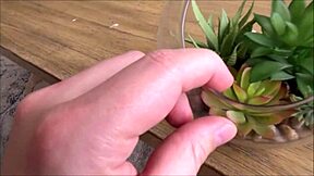 tiny asian teen step sister shares room with lulu chu