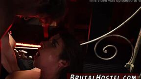 felicity feline blows tourists outdoors