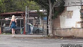 Sharking Girls Caught in Wild Public Action Everywhere