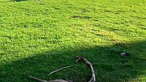 Avery Black, Petite Asian Teen, Gets Nailed for Social Media Story