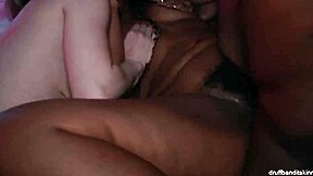 Druffbandit orgy got me, um, wild with that big latina ass, man