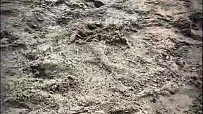 Stranger sucks cock on beach.