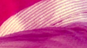 Two Girls Ride Ass-Hungry Cocks Hard!