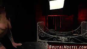 Felicity Feline and her friend get tied up during a tourist adventure