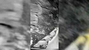 Girlfriend gives lingerie then bends over for anal cowgirl