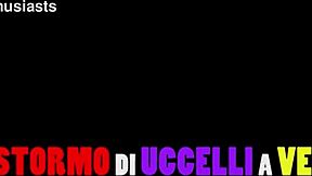 Girl takes double penetration in orgy