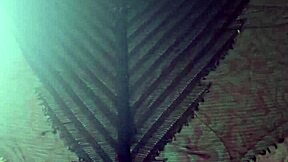 Elza Kom shows off nylon tights in fetish play with stunning style.