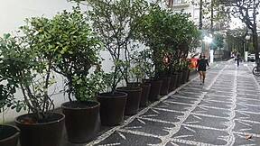 Paty bumbum's shopping mall adventure with el toro de oro