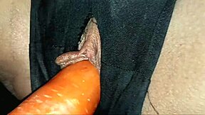 Amateur Couple Having Sex