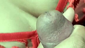 Come on baby, let's have fun breaking my ass.