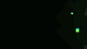 i, charline, give in to surfer neighbor.