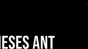 18-year-old student and her milf stepmother with a young white man