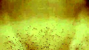 She Rides Cock with Pure Joy