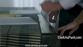 Celebrity apprentice betrays in bedroom