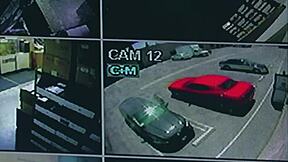 Nina Hartley cheats in doggystyle