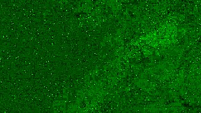 Crazy 18 YO Girl Pees on Public Beach in Wet Panties