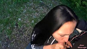 Want to see an evening park blowjob?